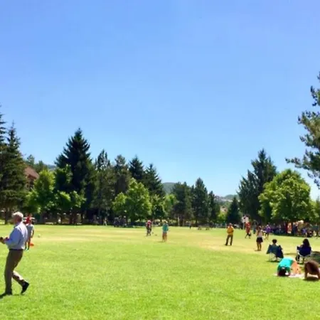 Pine Dom wakacyjny *