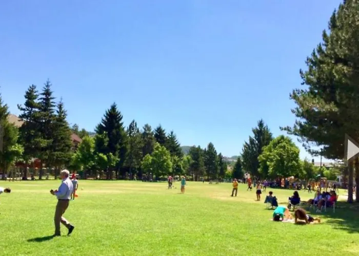 Pine Hébergement de vacances *